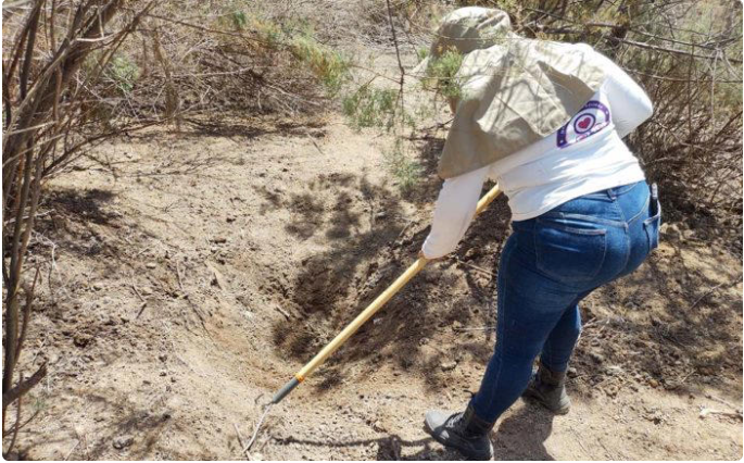 Gobierno alista ley para “desaparecer a los desaparecidos”: Madre buscadora