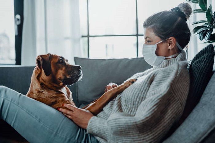 Nuevo Covid en Malasia que podría transmitirse de perros a humanos