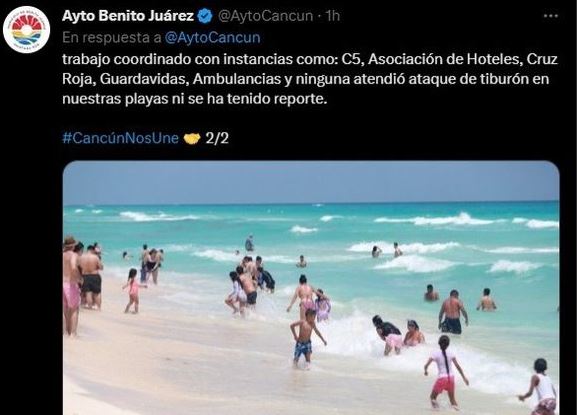 Autoridades de Cancún desmienten supuesto ataque de tiburón