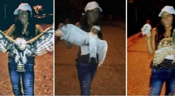 Colombia: Investigan a mujer que decapitó a lechuza y viralizó las fotos