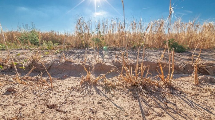 90% de la península de Yucatán no presenta sequía: Conagua