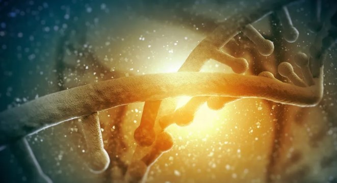Descubrimiento científico revela que el ADN humano ha comenzado a evolucionar