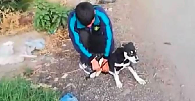 (VÍDEO) Amarra a perro y lo tira al río ; vecino obliga al sujeto a rescatarlo