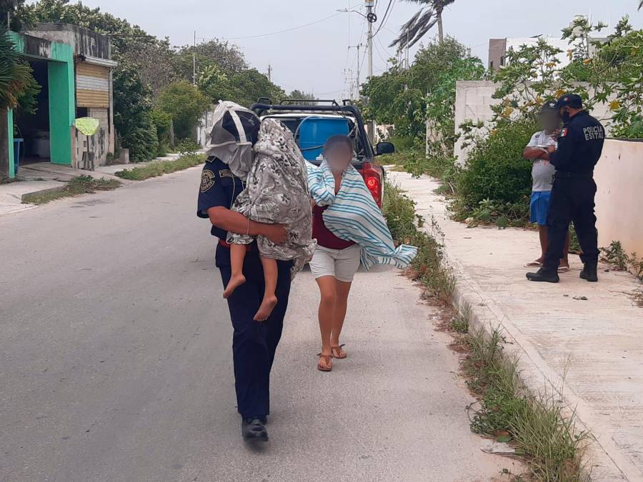 Abejan atacan a tres personas en Chicxulub Puerto