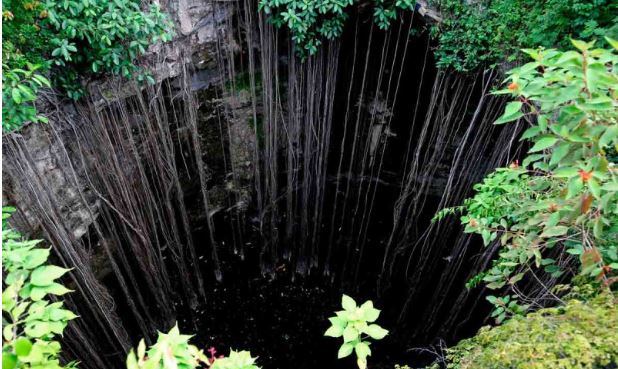 Detectan brote de histoplasmosis en turistas que visitaron cenotes en Yucatán