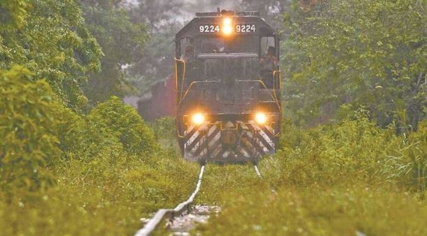 IMCO: Tren Maya saldrá mucho más caro a los mexicanos