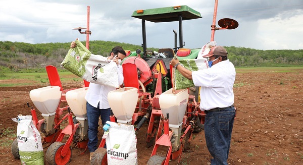Yucatán: Productores del Sur reciben 190 ton de semillas de soya