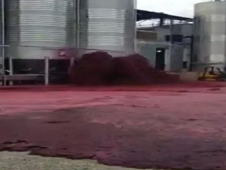 VIDEO: Una "tragedia" más al 2020; se desperdiciaron 50 mil litros de vino