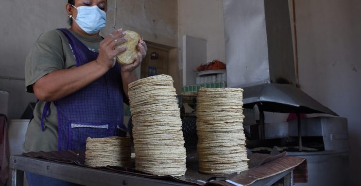 Molinos y repartidores incrementan precio de la tortilla en Campeche