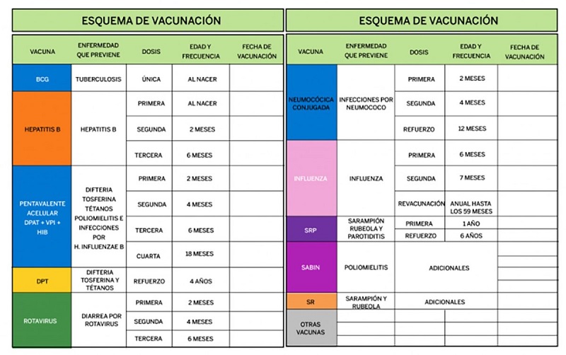 Yucatán: Piden a padres de familia completar su esquema básico de vacunas a sus hijos