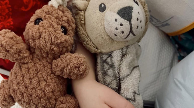 Influencer que perdió a su bebé tras caerle un espejo, avisa que será ‘héroe’; donará órganos