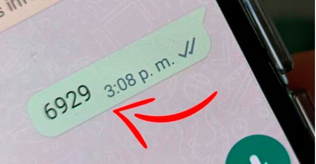 WhatsApp: qué significa el número “6929″ en la app