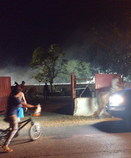Umán: Desalojan ilegal y peligrosa corrida de toros
