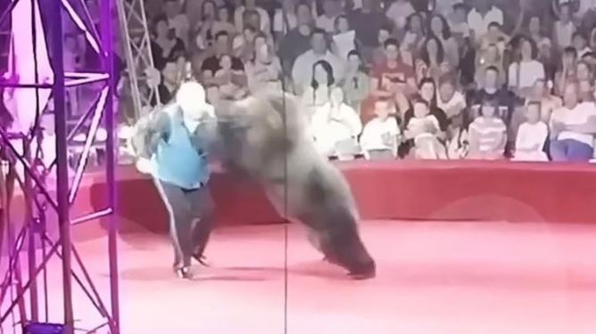 VIDEO: Oso ataca a presentador de circo ruso en plena función ante niños