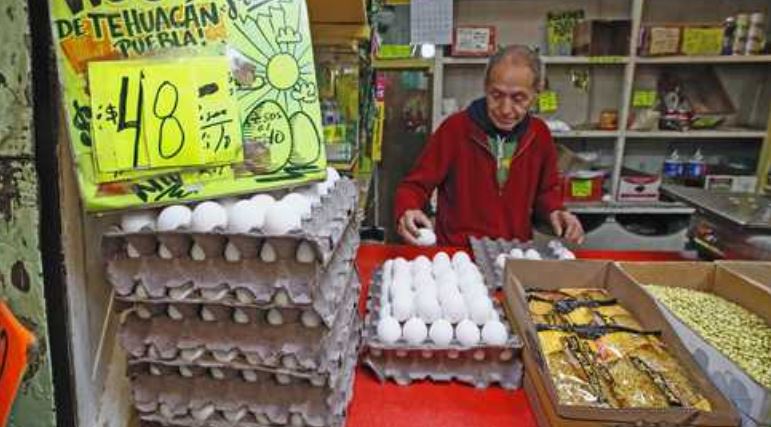 Profeco: El huevo se encarece porque las gallinas "ponen menos en invierno"