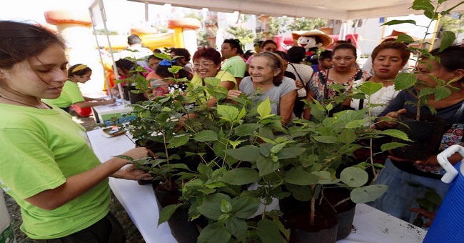 Instalan en Mérida el tercer “Mega Punto Verde”