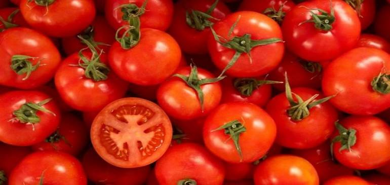 EE.UU. castiga a México al imponer arancel al tomate