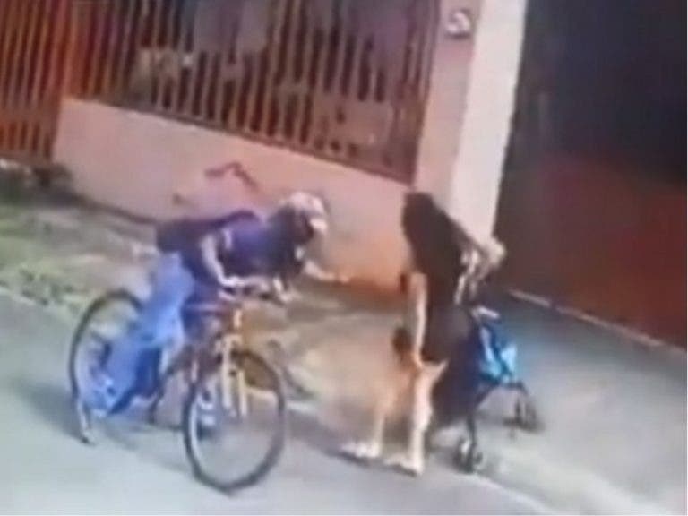 VIDEO: Hombre abusivo toca la entrepierna de una mujer que iba con sus hijas