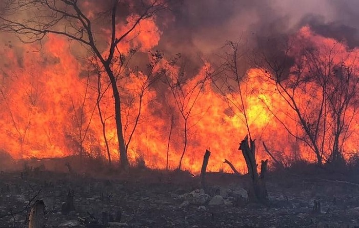 ¡Cuidado! Aumentan los incendios forestales en Yucatán