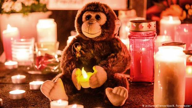 Alemania : Un solo globo de cantoya causó incendio en zoológico que mató a 30 simios