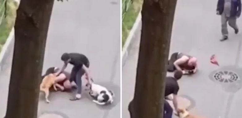 (VÍDEO) Con su cuerpo, hombre protege a su mascota del ataque de 2 perros