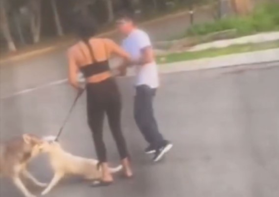 Denuncian a mujer que mató a perrito de la calle en Jalisco