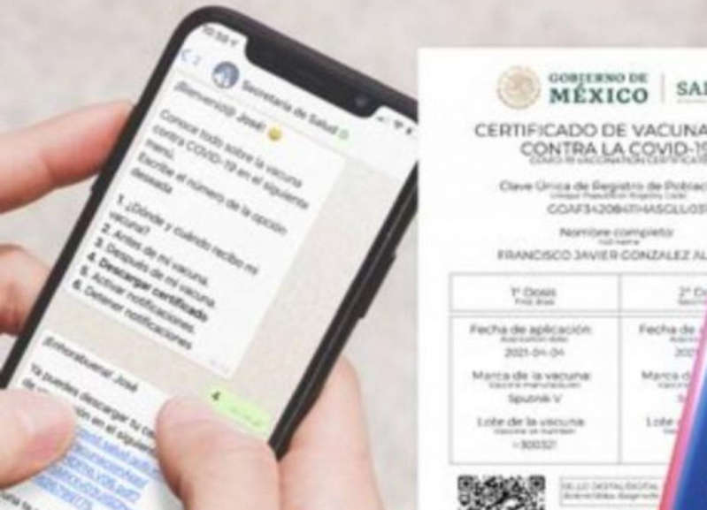 Mexicano crea página para descargar certificado de vacunación contra covid en Iphone o Ipad