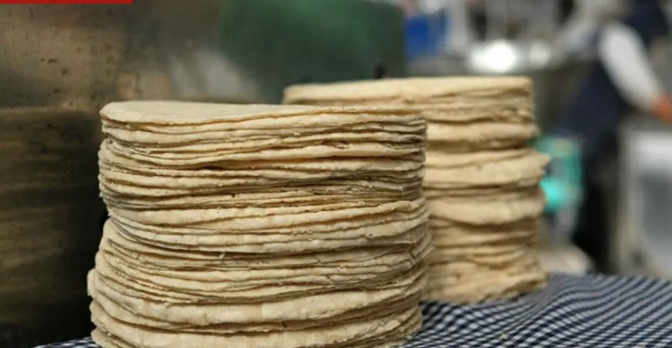 Yucatán: A partir de mañana aumentará el precio de la tortilla, molineros