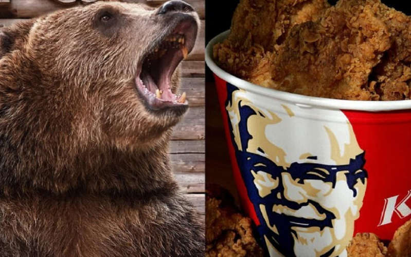 Hombre encuentra tres osos en su casa; uno comía el KFC de su cena
