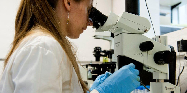 Brasil carece de equipo para realizar pruebas de coronavirus