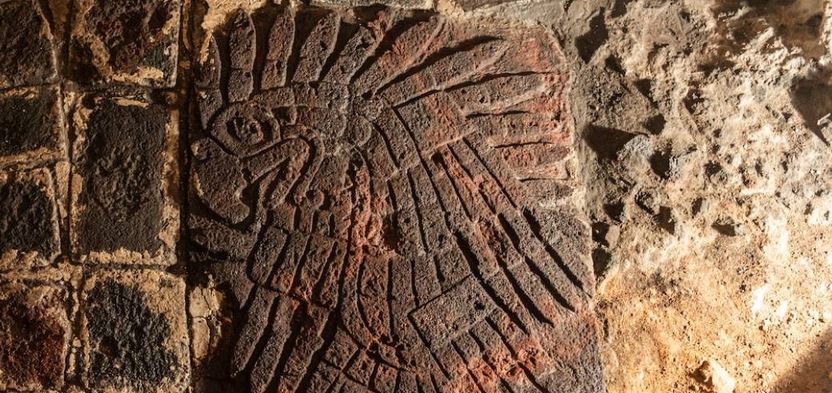 INAH investiga bajorrelieve de un águila real descubierto en el Templo Mayor