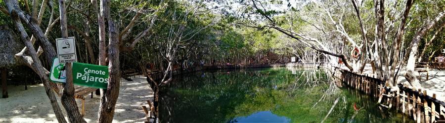 Progreso ¿Pensabas ir a El Corchito? no vayas, ya está cerrado por coronavirus