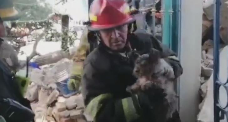 Jalisco: Rescatan a perrita que quedó atrapada entre los escombros tras explosión