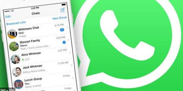 Actualización de WhatsApp borrará tus fotos y videos, respaldalos