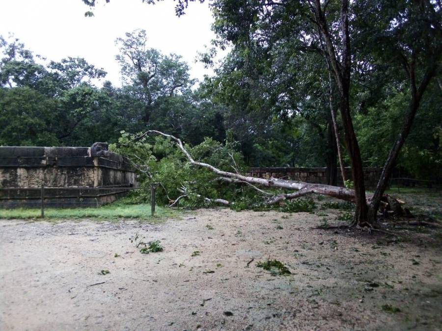 Hoy estará cerrada zona de Chichén por estragos que causó "Gamma"