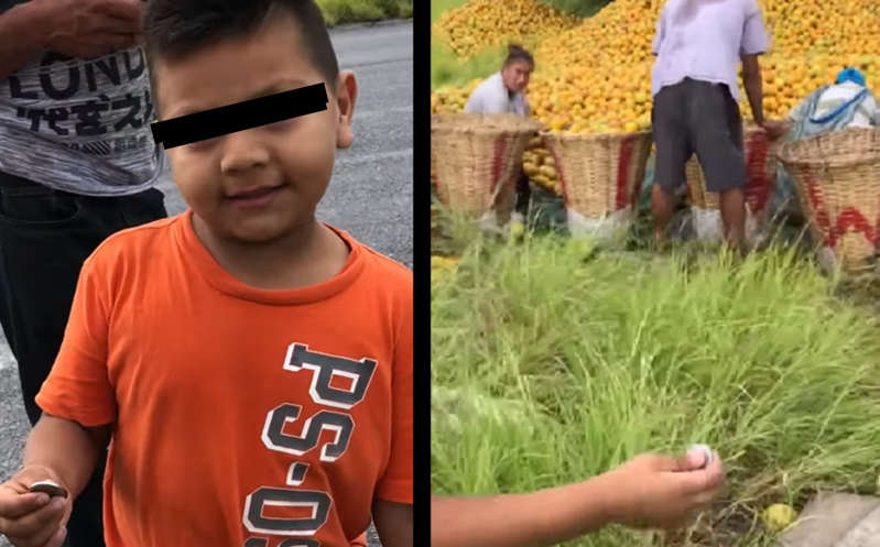 "Para qué robar": Niño pide comprar naranjas en pleno acto de rapiña