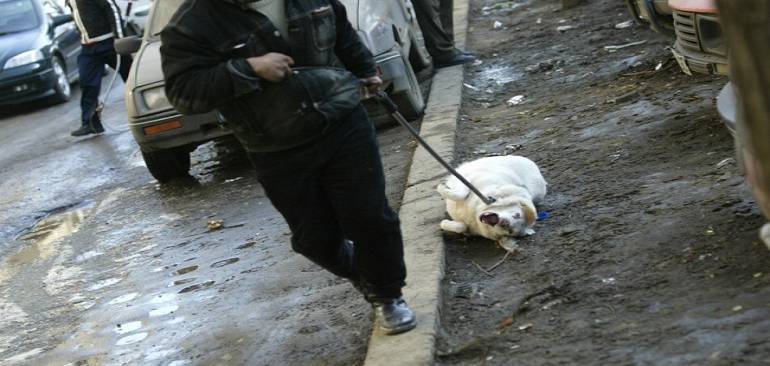 VIDEO: Policía argentina da una lección a una mujer que maltrataba a su perro