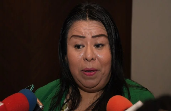 Diputada de Morena culpa a gobernadores de subejercicio de recursos