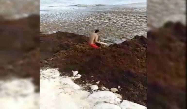 Rescatan a mujer del “mar de sargazo” en Playa del Carmen