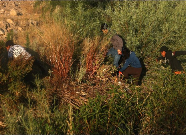 México evitará ingreso de migrantes en 12 puntos de la frontera sur