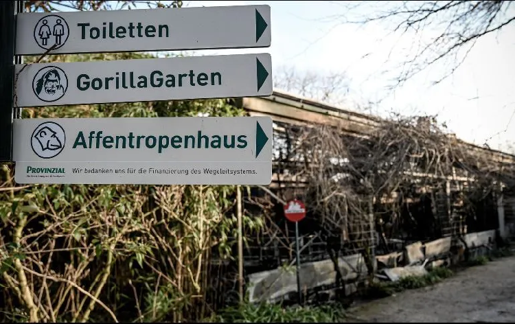 Alemania: Investigan a 3 mujeres por incendio que mató a 30 animales en zoológico