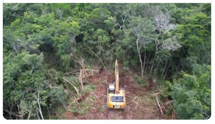 Calderón: "Tren Maya es un proyecto desquiciado para destruir la selva"