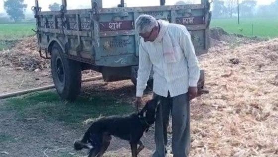 Hombre saca a sus hijos de su testamento para poner a su perro