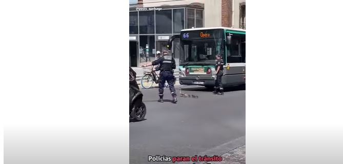 Policías paran el tránsito para que cruce una familia de patitos