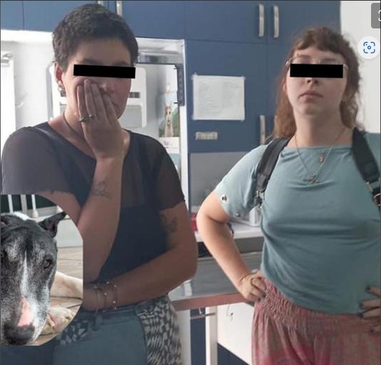 San Luis Potosí: Mujeres se roban a 'Tai' el perrito de una vecina para sacrificarlo