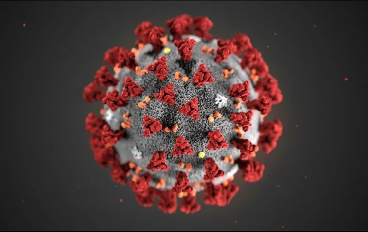 Detectan el primer caso de coronavirus en el oeste de Estados Unidos