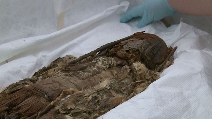 No las de Guanajuato, las momias de Chinchorro son las más antiguas del mundo