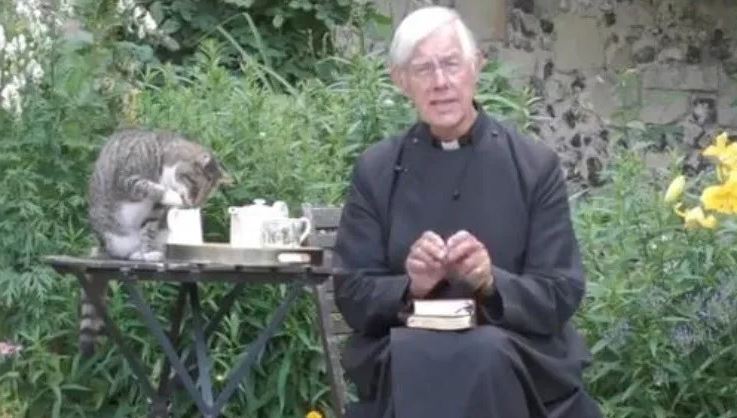 Gato interrumpe transmisión de sacerdote para “robar” leche