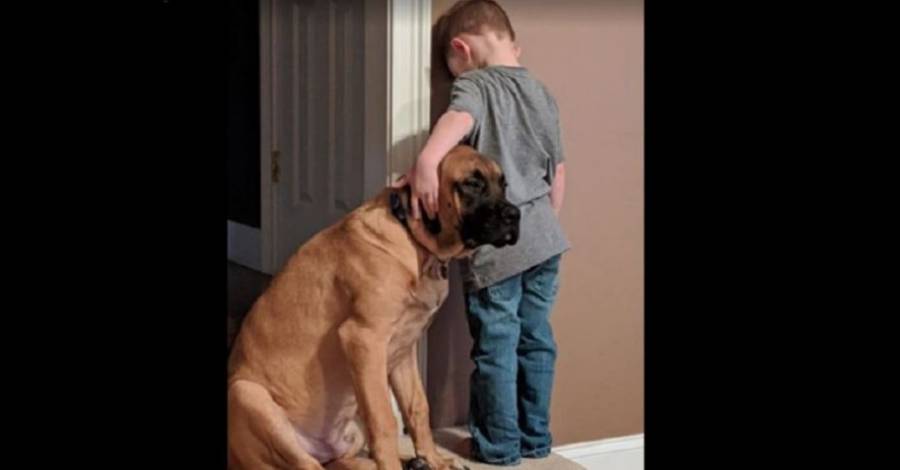 Niño es castigado y su perro le demuestra su amistad en las buenas y en las malas