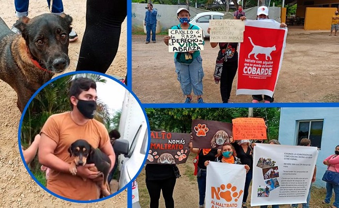 Mérida: Rescatistas 'liberan simbólicamente' a animalitos de la perrera municipal